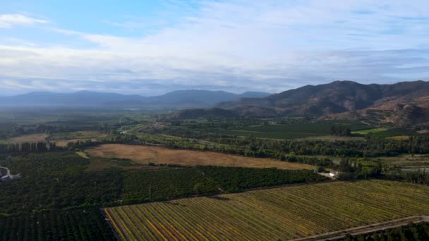 Aerial Orbit Green Farm Fields Tree Forest Surrounded Mountains Cloudy — Stockvideo