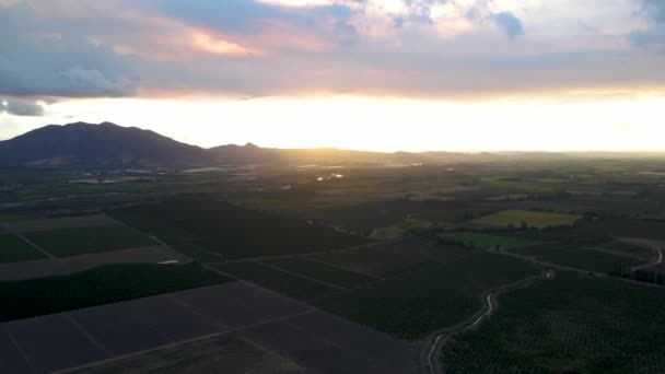 Luftaufnahme Von Grünen Farmfeldern Hügel Hintergrund Einer Bewölkten Goldenen Stunde — Stockvideo