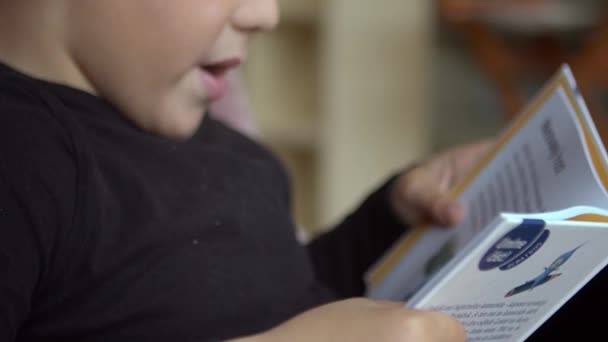 Маленький Мальчик Читает Вслух Слоги Своей Первой Книге Полудетальный Выстрел — стоковое видео