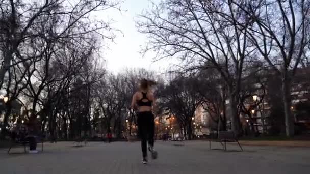 Jong Actieve Vrouwelijke Loper Joggen Stad Park Van Achteren Volledig — Stockvideo