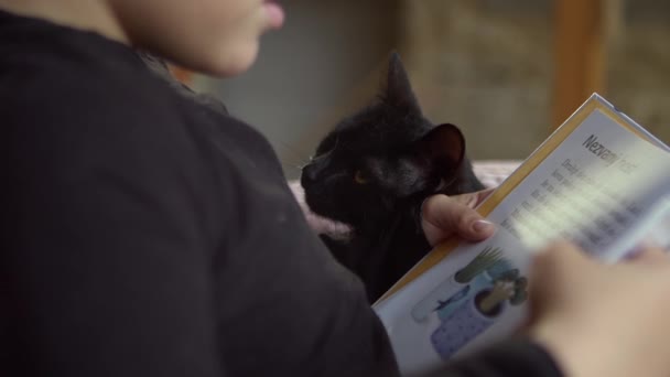 Маленький Мальчик Читает Детской Книжки Пока Кот Внимательно Слушает Сидя — стоковое видео