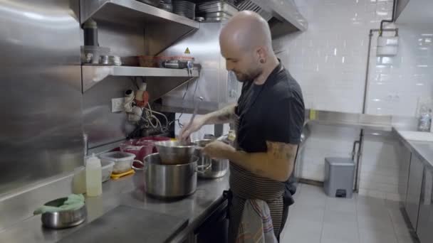 Half Body Side View Male Chef Working Restaurant Kitchen — Vídeo de Stock