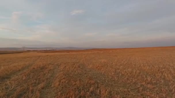 Drone Flying Close Fields — Vídeo de Stock