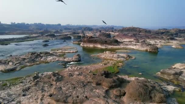 Aerial Backward Shot Narmada River Valley Vadodara Gujrat India Sunny — Wideo stockowe