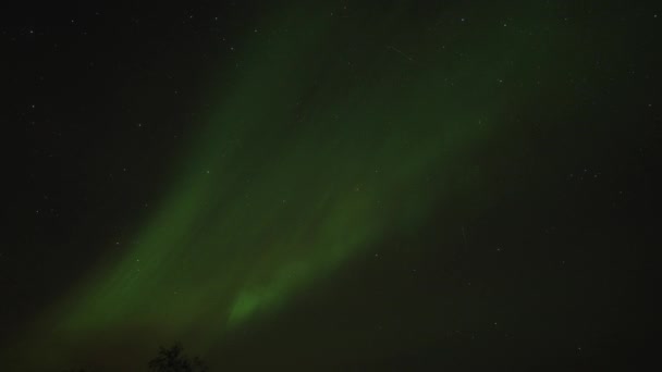 Hermosa Danza Las Auroras Boreales Cielo Nocturno Sobre Fiordo Cronograma — Vídeos de Stock