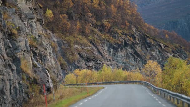 Sonbahar Manzarasında Dar Bir Asfalt Yol Yukarıdaki Kara Ağır Bulutlar — Stok video