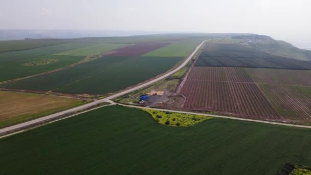 Israël Golan Heights Mevo Hama Warme Winter Israël Schilderachtige Landbouwvelden — Stockvideo