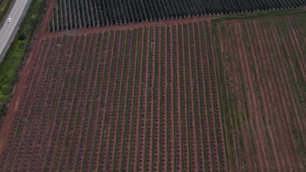 Vista Aérea Israel Golan Heights Equipamento Irrigação Mevo Hama Regando — Vídeo de Stock