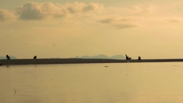 Silhouette Kids Playing Having Good Time Tropical Beach Sunset Samui — Vídeos de Stock