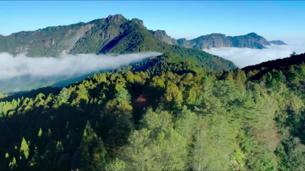 晴れた日に森と山の間に雲と牧歌的な阿里山国立公園の海の上の航空便 アジア — ストック動画