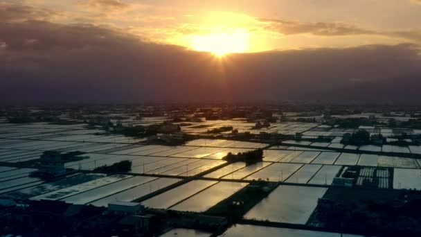 Luchtvlucht Rijstvelden Tijdens Zonsondergang Gouden Uur Yilan Stad Taiwan — Stockvideo