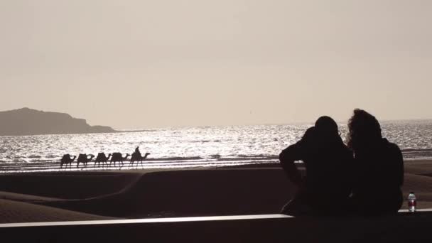 Couple Blotti Par Désert Avec Des Chameaux Plage Essaouira Maroc — Video