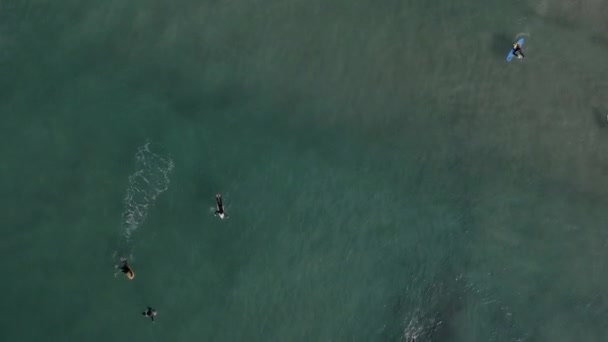 Top Aerial View Tourist Swimming Beach Surfboard — Video Stock