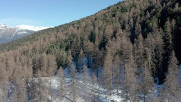 Drone Vliegen Boven Bergen Tijdens Winter Zijdelingse Beweging — Stockvideo