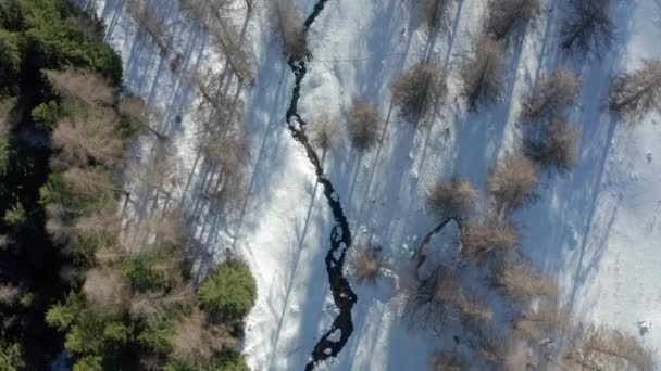 Drönare Flyger Över Bergen Vintern Framåt Rörelse Luta Upp — Stockvideo