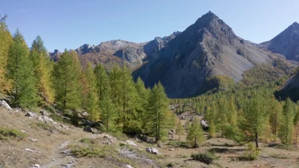 Drone Flying Mountains Forward Movement Trees — Stock video