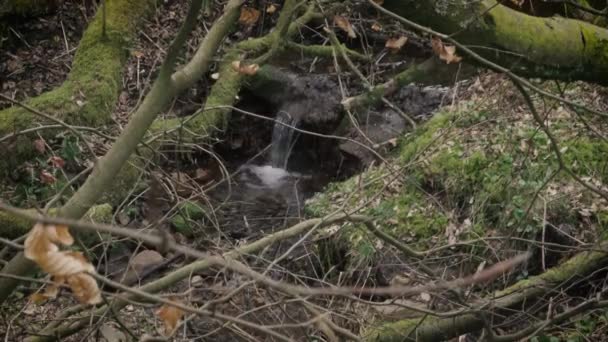 Pequeño Arroyo Agua Que Corre Través Bosques Tierras Agrícolas Inglesas — Vídeos de Stock