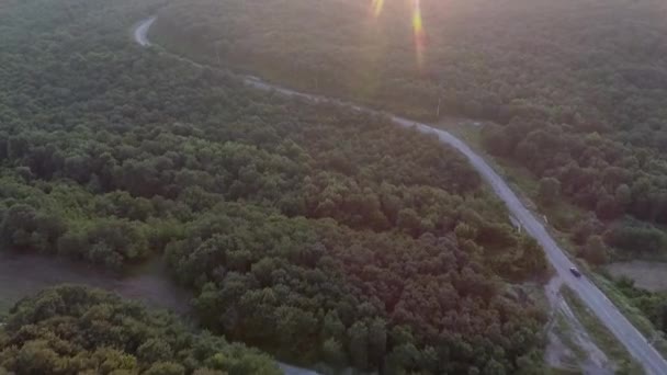Conduite Voiture Entre Forêt Vue Par Drone — Video