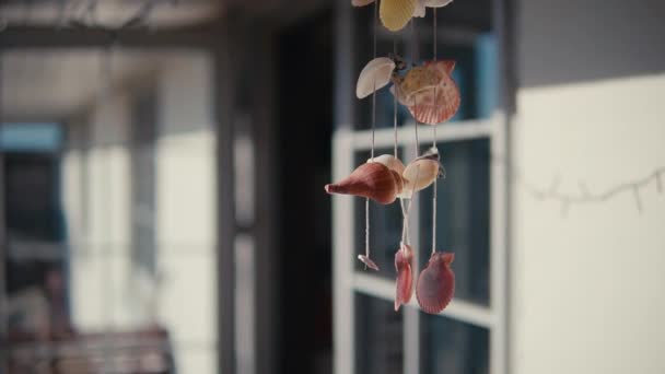 手作り貝殻家の外にぶら下がっている風鈴 選択的フォーカス — ストック動画