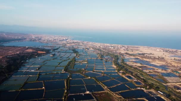 Vista Aérea Dos Campos Cultivo Camarão Son Hai Durante Dia — Vídeo de Stock