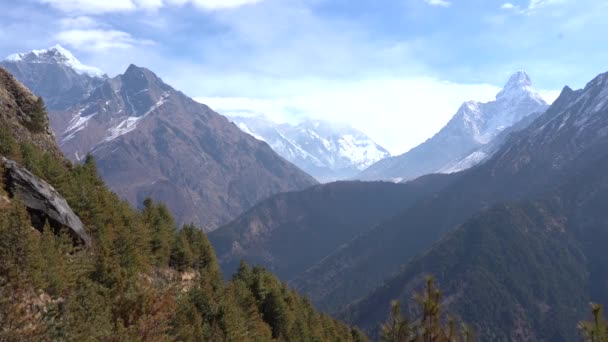 Una Bella Vista Dei Sempreverdi Sulla Collina Con Montagne Innevate — Video Stock