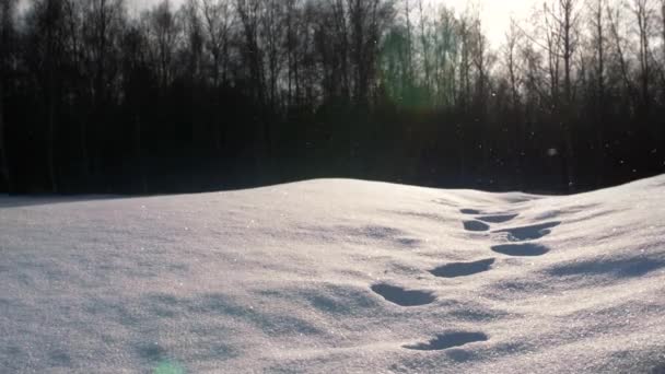 Snöflingor Faller Över Fotspår Kvar Snötäcket — Stockvideo