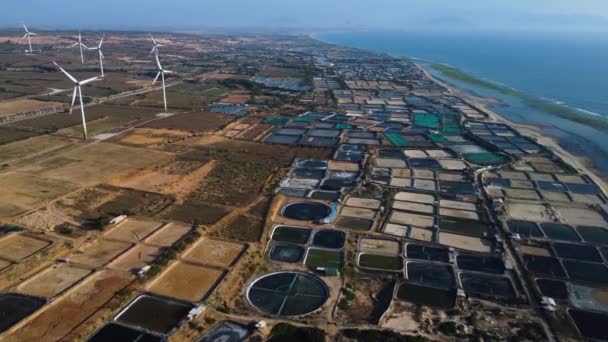 ベトナム ファン付近のエビ養殖の上空を飛行 左側の風力タービン — ストック動画