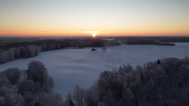 Vackra Snötäckta Litauiska Landsbygden Mitt Skogen Kall Vinterdag Medan Nedgångssolen — Stockvideo