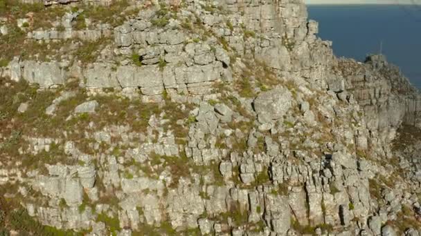 Индийская Горная Тропа Венстер Природном Заповеднике Столовая Гора Кейптауне Южная — стоковое видео