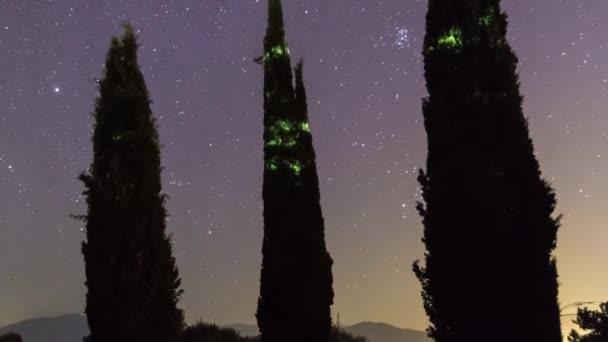 Timelapse Cypresses Stars — Stockvideo