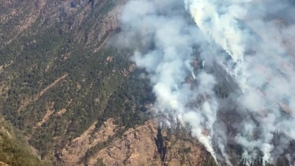 Huge Forest Fire Lots Smoke Covering Side Hill Nepal Seen — Video Stock