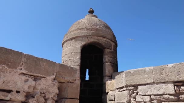 Λιμάνι Της Essaouira Και Scala Port Ένα Genoese Χτισμένο Ακρόπολη — Αρχείο Βίντεο