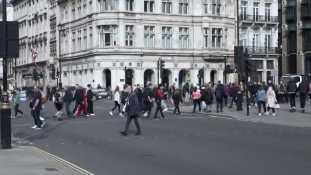 Människor Korsar Vägen Vid Parlamentstorget Westminster — Stockvideo