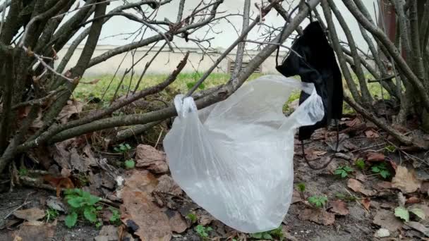 Plastic Bag Surgical Face Mask Hanging Branch Tree Polluting Environment — Stok video
