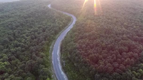 Route Courbée Entre Forêt Coucher Soleil Vue Sur Drone — Video