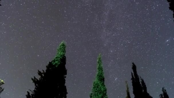 Timelapse Cypresses Stars — Stockvideo