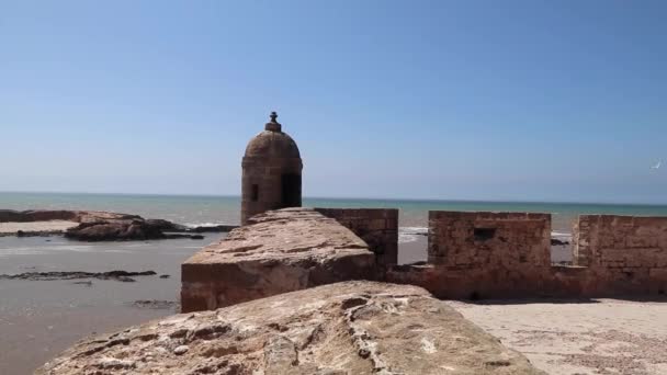 Harbour Essaouira Scala Port Genoese Built Citadel Fortress Skala Port — 비디오