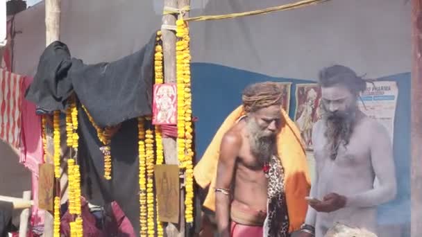 Portrait Sadhu Naga Camp Transit Ganga Sagar Kolkata Ouest Bengale — Video