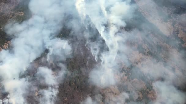 Enorme Incendio Boschivo Sacco Fumo Coprono Fianco Una Collina Nepal — Video Stock