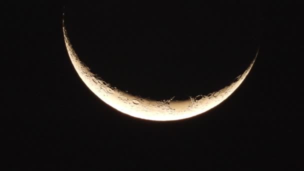 Beautiful Close Moon — Wideo stockowe