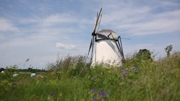 Traditionelle Windmühle Seidla Estland Die Noch Immer Zum Mahlen Von — Stockvideo