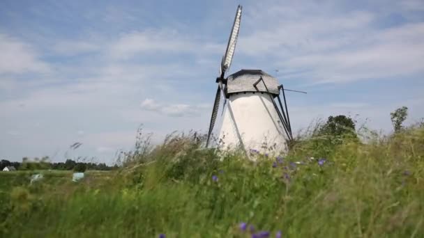 Traditionelle Windmühle Seidla Estland Die Noch Immer Zum Mahlen Von — Stockvideo