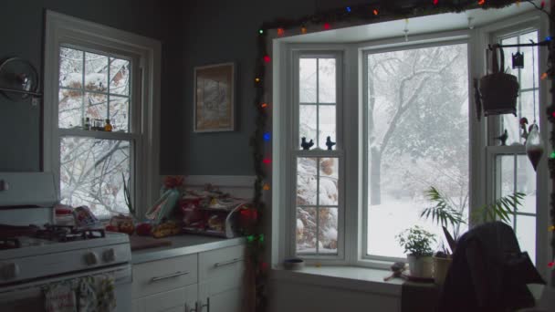 View Midwest Kitchen Snowy Afternoon — Vídeo de stock