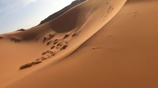 Acrobatic Drone Flying Sandy Dunes Merzouga Morocco Desert Aerial Fpv — Stock video