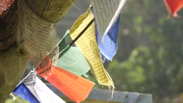 Colorful Pray Flags Closeup Windy Day Green Background Slow Motion — Stockvideo