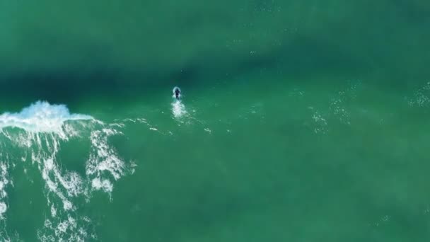 南アフリカのケープタウンのブルバーグ海の潮汐波の上にサーファー 空中ドローンショット — ストック動画