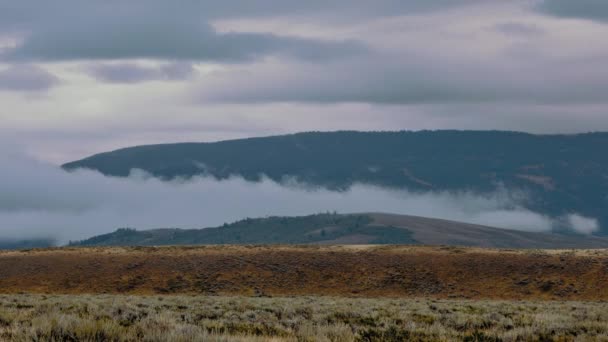 Zeitraffer Der Wolken Die Durch Die Hügel Von Jackson Hole — Stockvideo