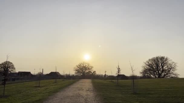 Golden English Zonsondergang Een Prachtige Avond Bomen Pad Lijn Met — Stockvideo