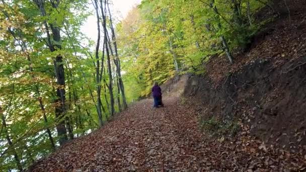 Mère Marche Avec Une Poussette Dans Forêt — Video