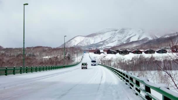 Den Vackra Vintern Niseko — Stockvideo